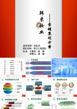 韩束妆业市场营销策划书