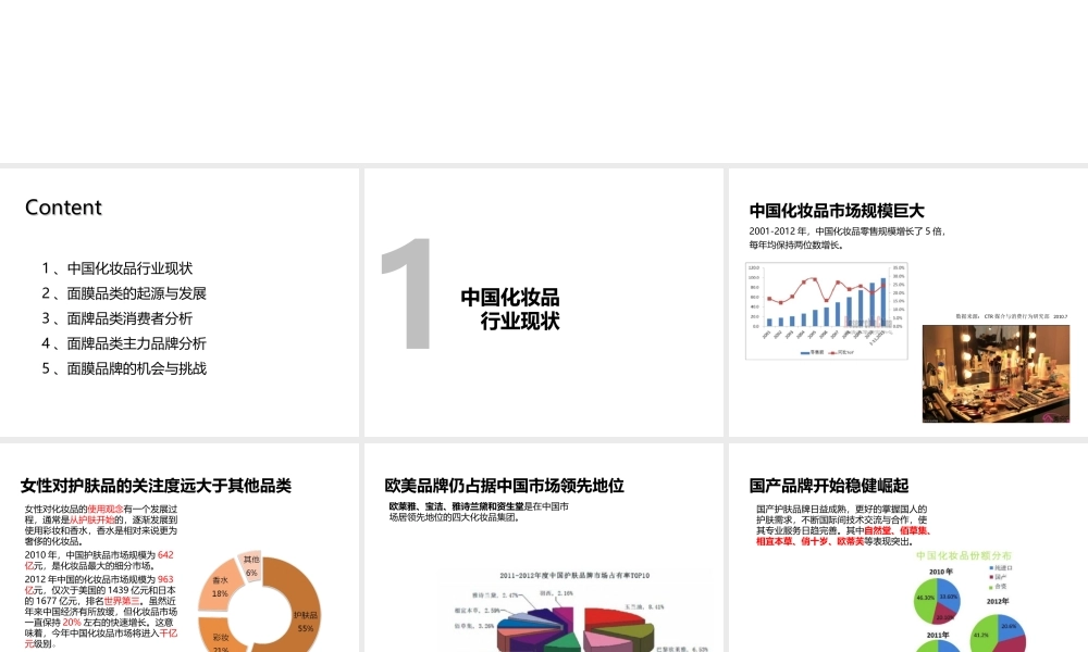 化妆面膜商业计划书