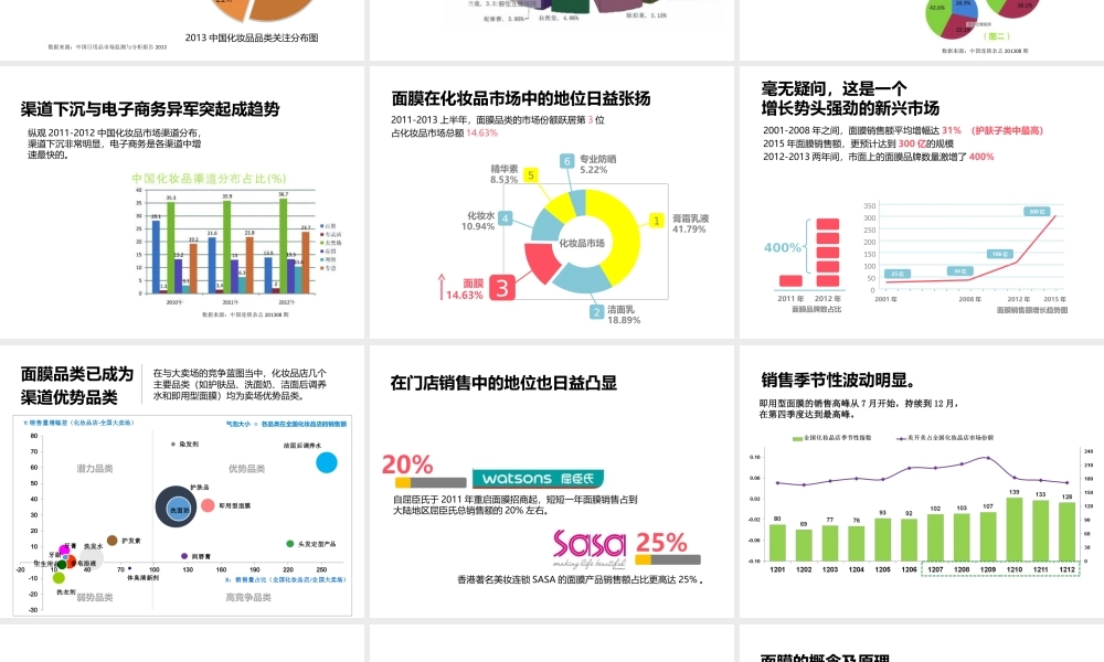 化妆面膜商业计划书