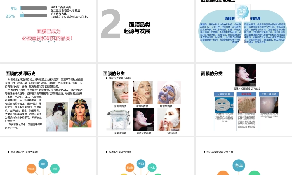 化妆面膜商业计划书