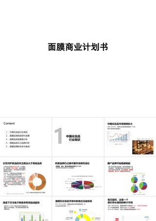 化妆面膜商业计划书