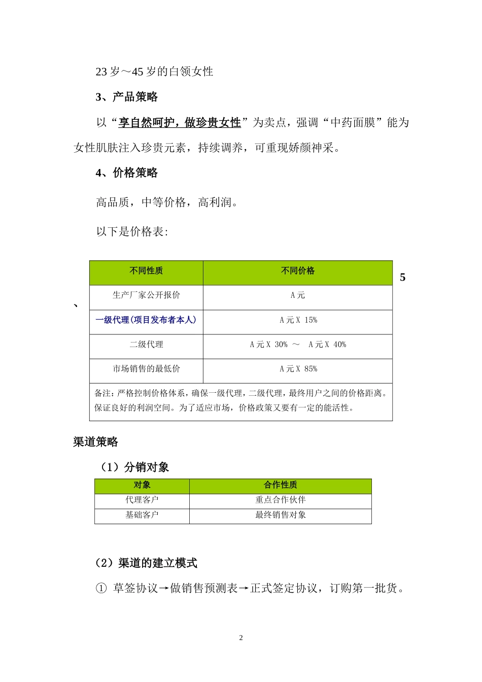 化妆面膜营销计划书_第2页