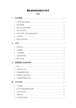 霓虹美容美发商业计划书