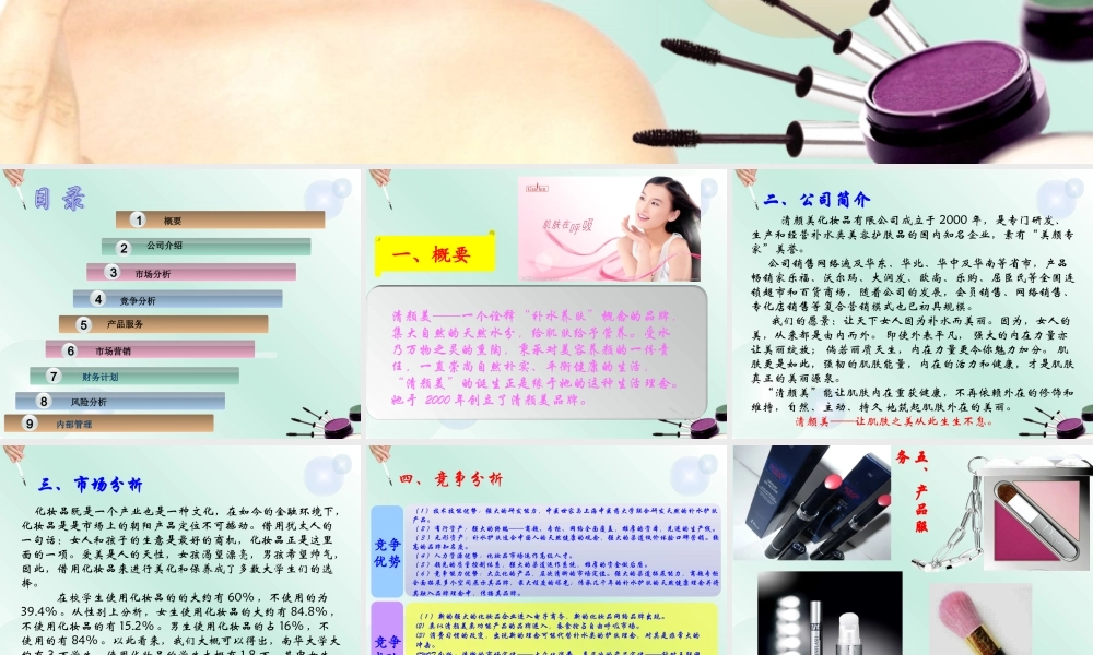 清颜美化妆品有限公司创业计划