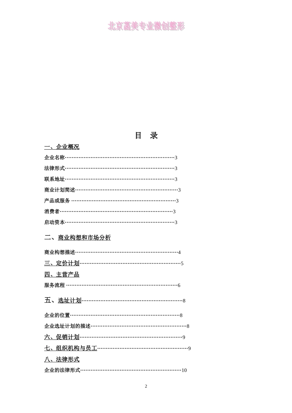 整型美容中介服务机构的创业计划书_第2页