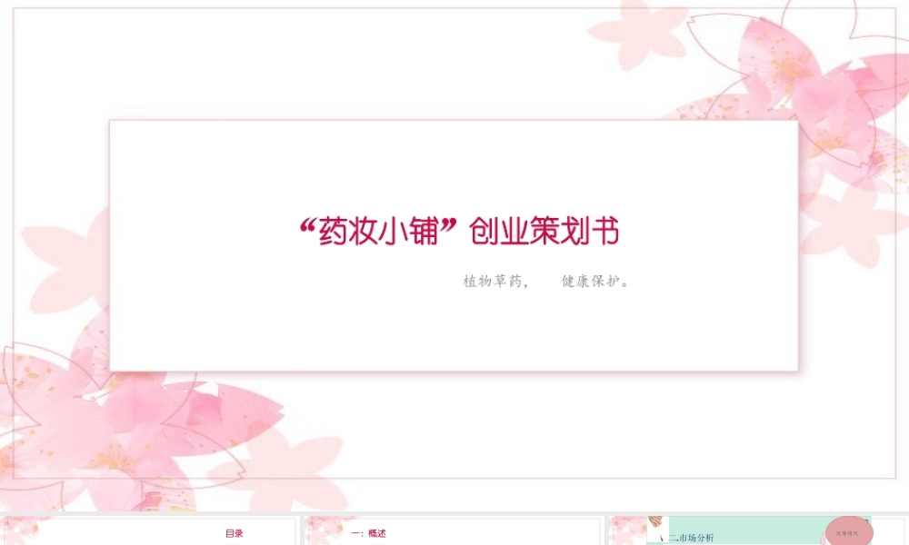 中草药化妆品创业计划书