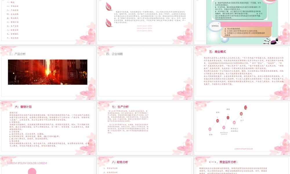 中草药化妆品创业计划书