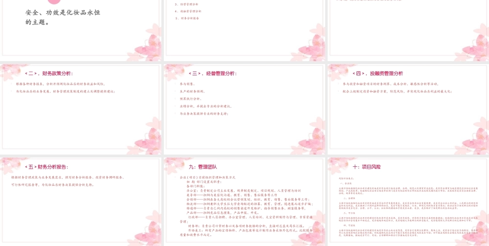 中草药化妆品创业计划书