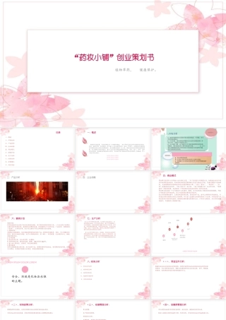 中草药化妆品创业计划书