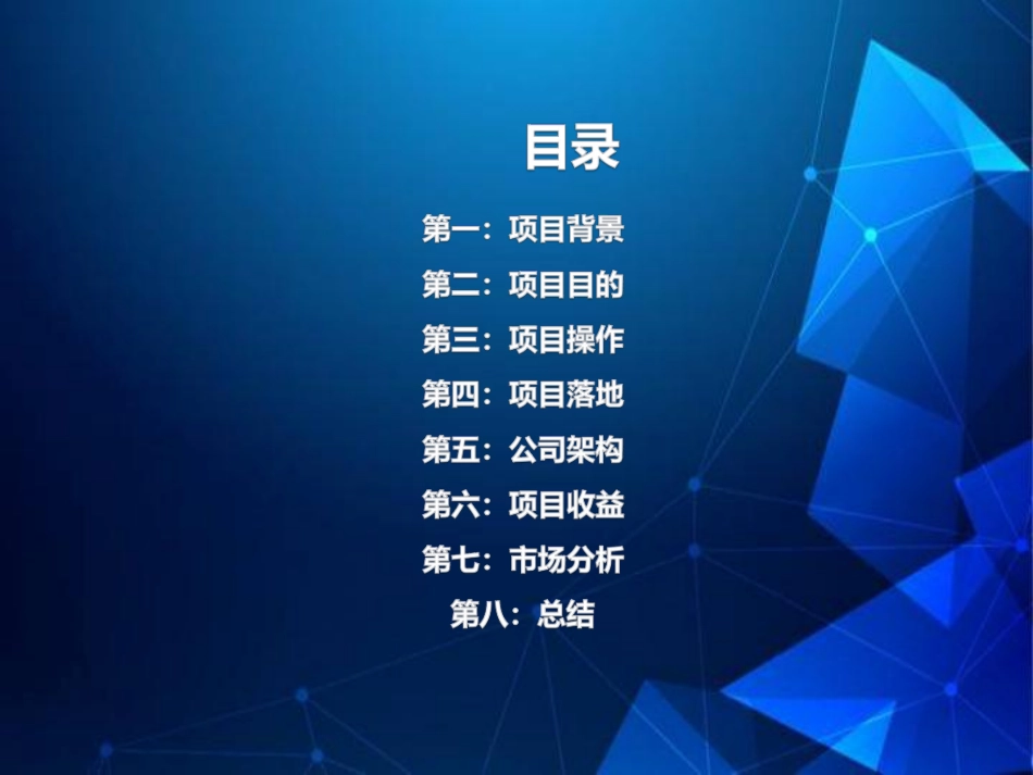 关于新能源充电项目创业计划白皮书5.0_第2页