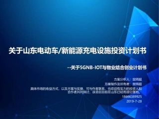 关于新能源充电项目创业计划白皮书5.0