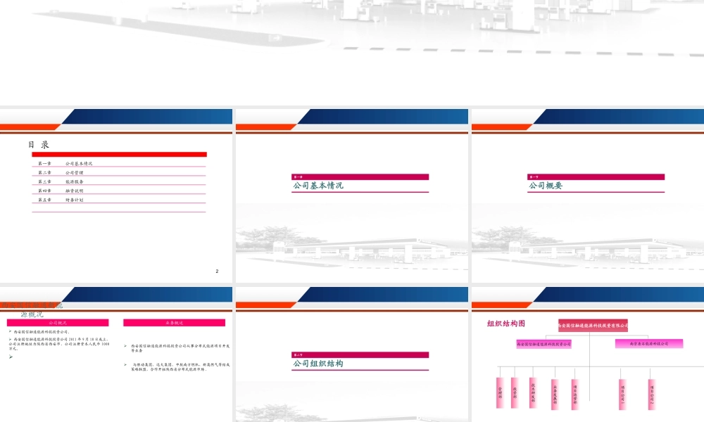 国信融通新能源投资公司融资计划书