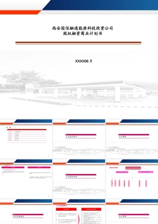 国信融通新能源投资公司融资计划书