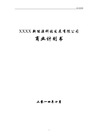 某新能源公司融资商业计划书DOC