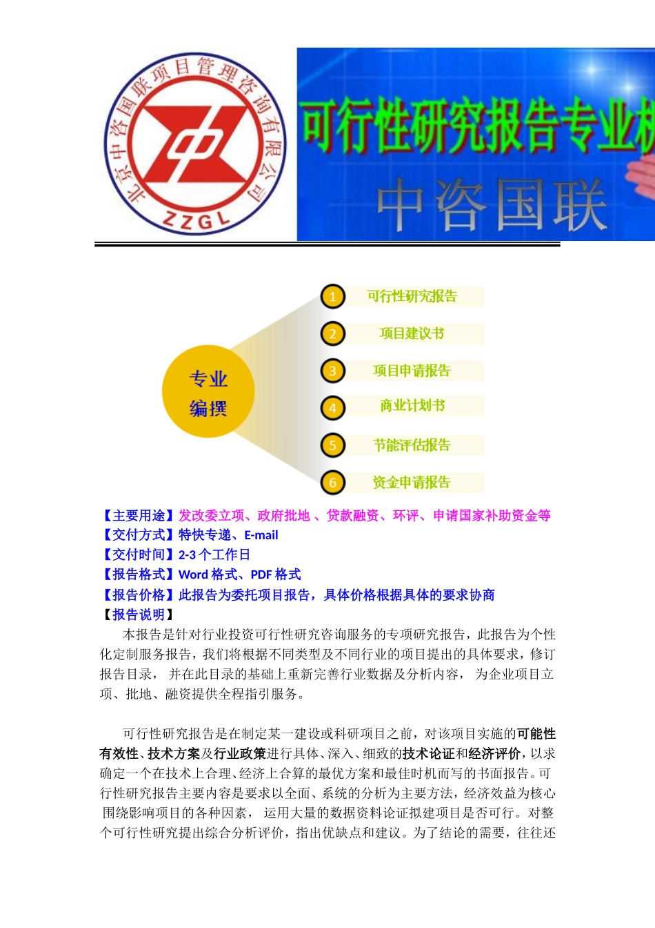 新能源汽车产业园项目可行性研究报告(目录)_第3页