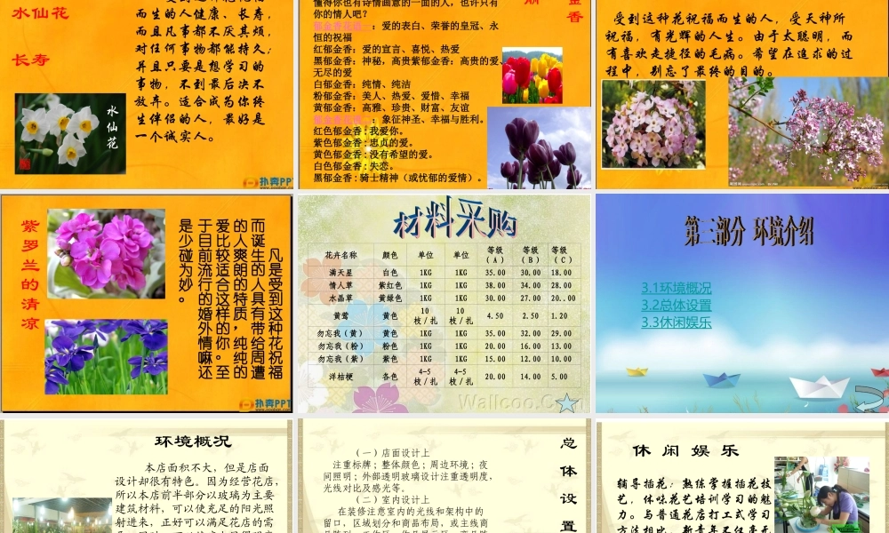 花店的创业计划大赛创业计划书