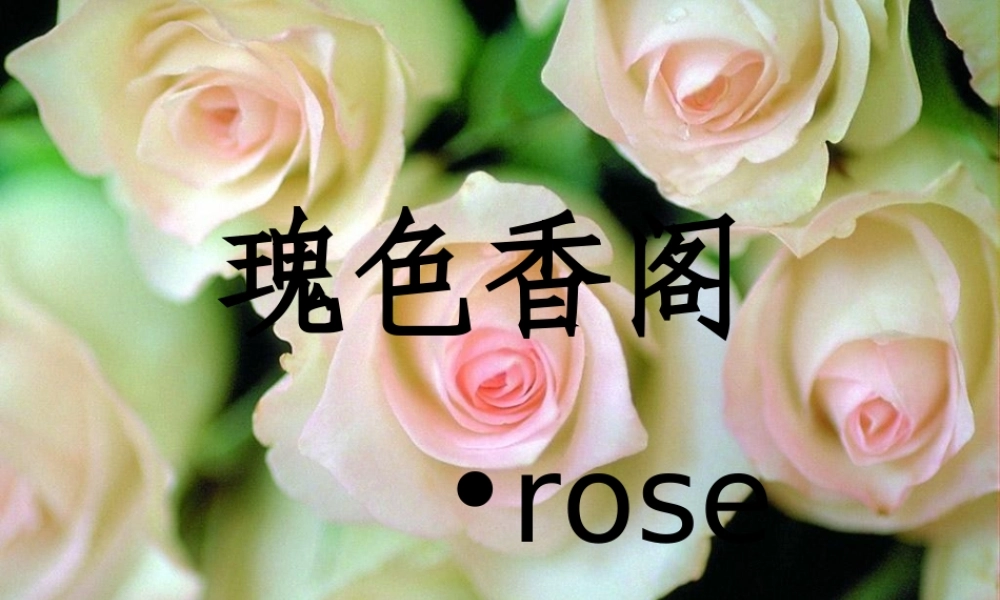 花店-统计2-李焕