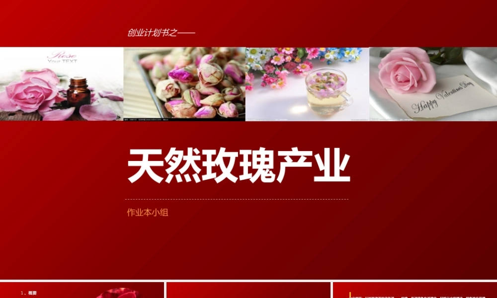 玫瑰产品公司创业计划书ppt