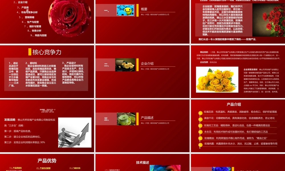 玫瑰产品公司创业计划书ppt