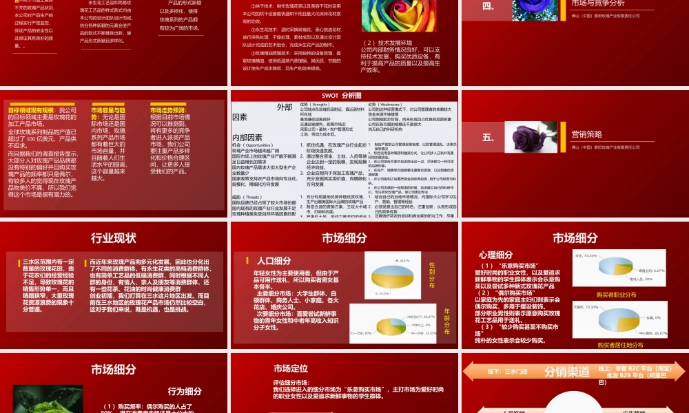 玫瑰产品公司创业计划书ppt