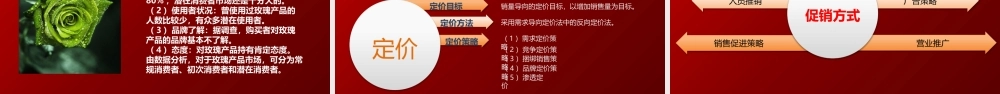 玫瑰产品公司创业计划书ppt