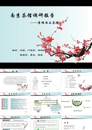 茶馆创业计划书调研报告(精)