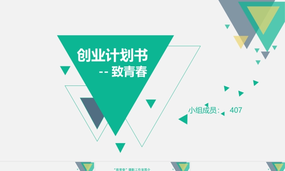 致青春创业计划书