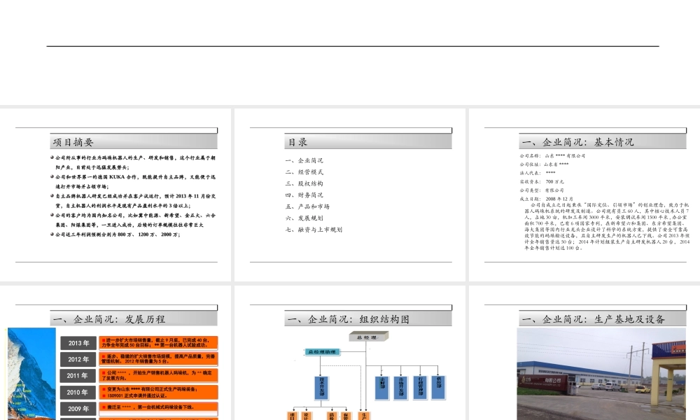 机器人项目商业计划书-(1)