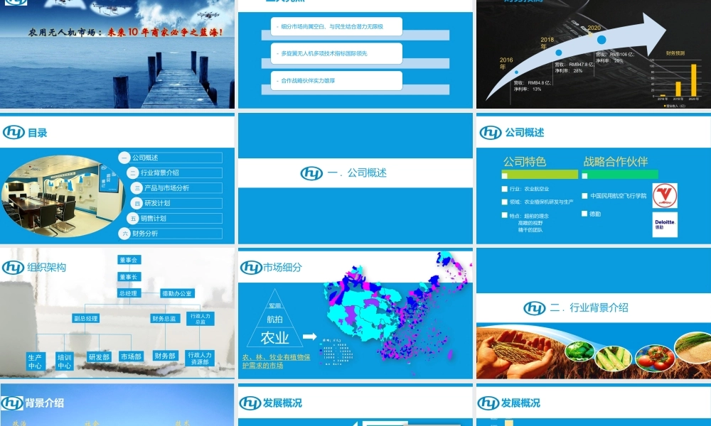 农业无人机公司商业计划书模板