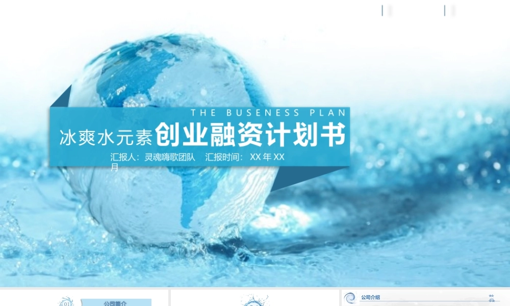 冰爽水元素创业融资计划书