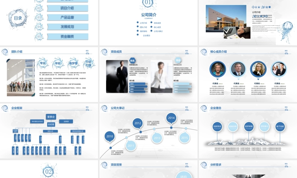 冰爽水元素创业融资计划书