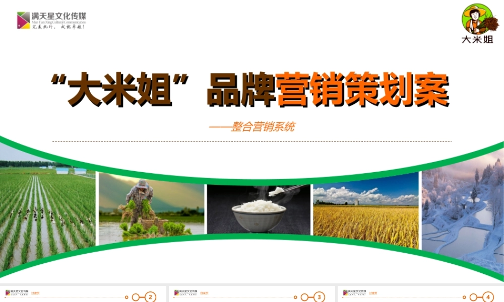 大米姐大米产品品牌营销策划案