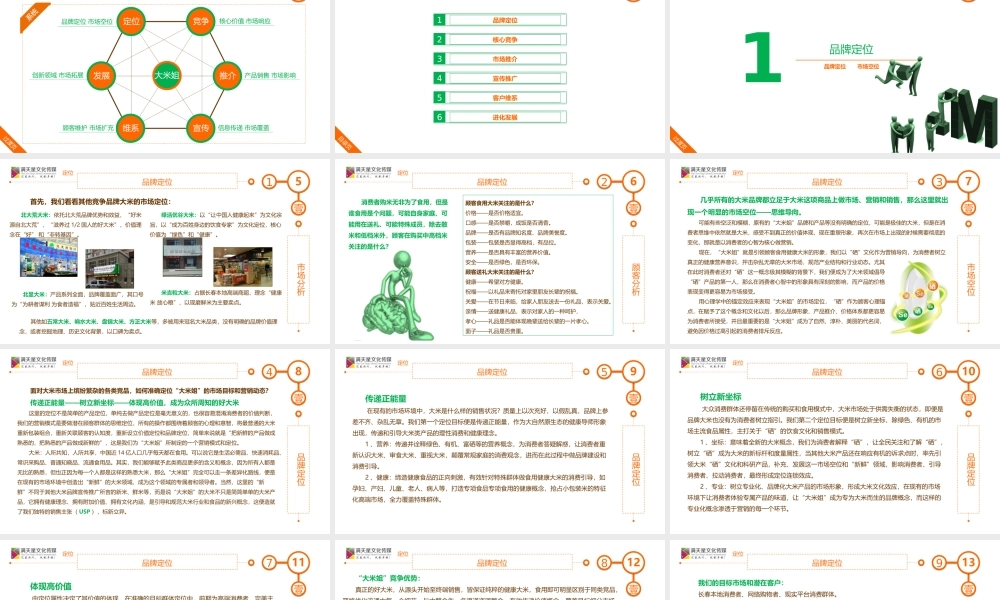 大米姐大米产品品牌营销策划案