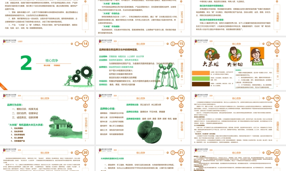 大米姐大米产品品牌营销策划案