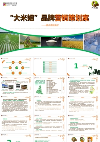 大米姐大米产品品牌营销策划案