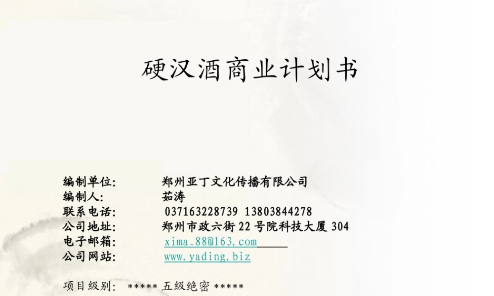 剑南春硬汉酒商业计划书范文