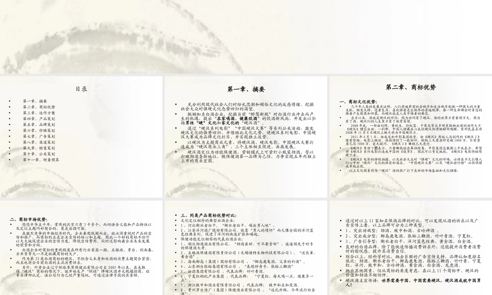 剑南春硬汉酒商业计划书范文