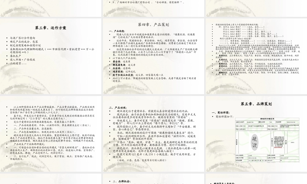 剑南春硬汉酒商业计划书范文