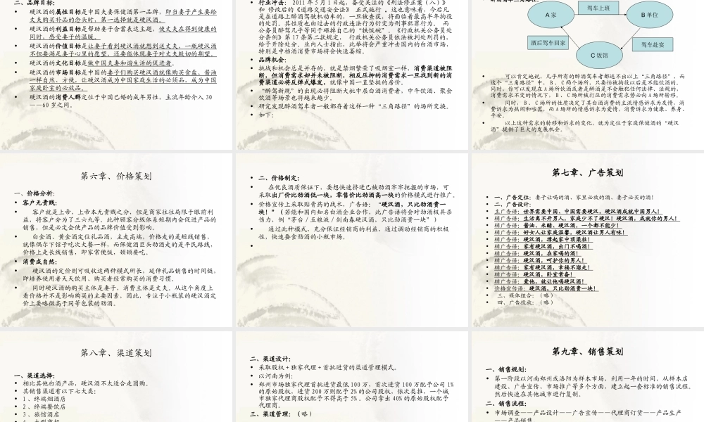 剑南春硬汉酒商业计划书范文