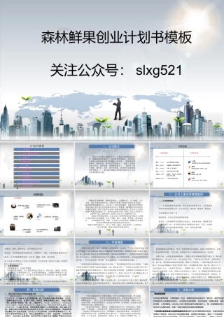 网吧创业计划书