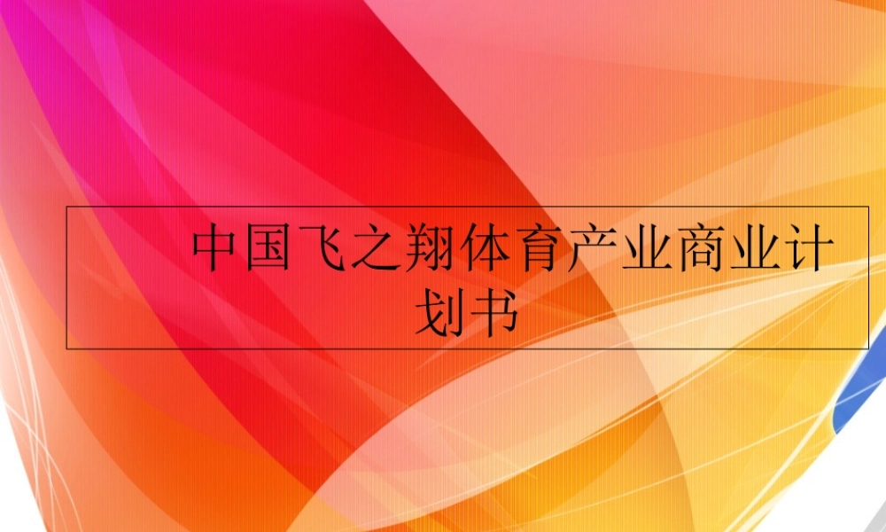 中国飞之翔体育产业商业计划书