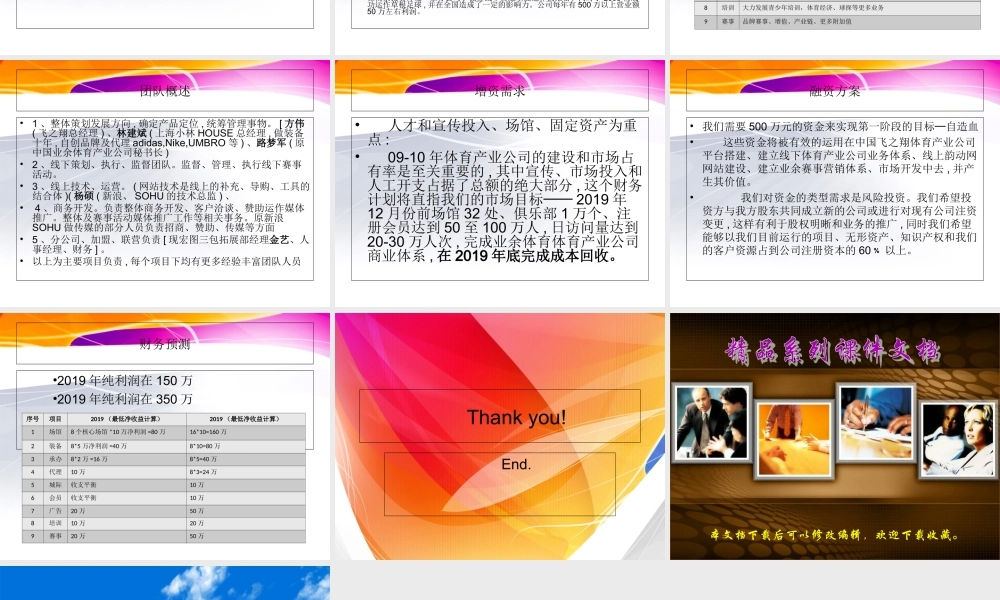 中国飞之翔体育产业商业计划书