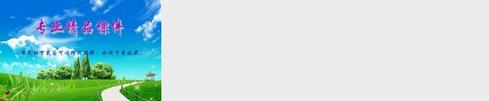 中国飞之翔体育产业商业计划书