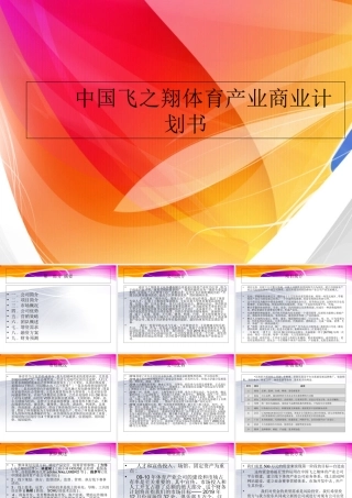 中国飞之翔体育产业商业计划书