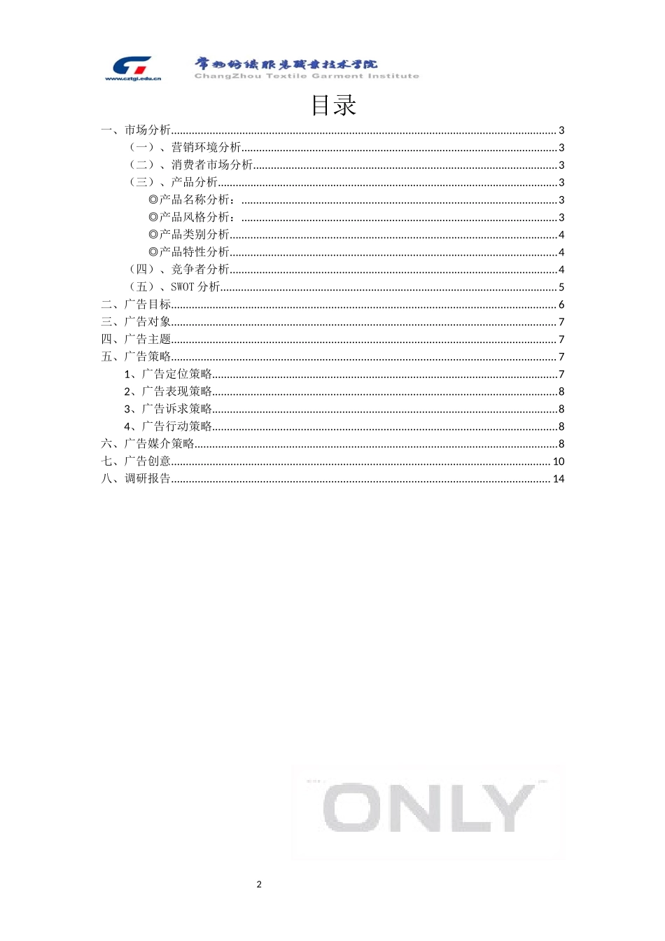 ONLY广告策划案_第2页