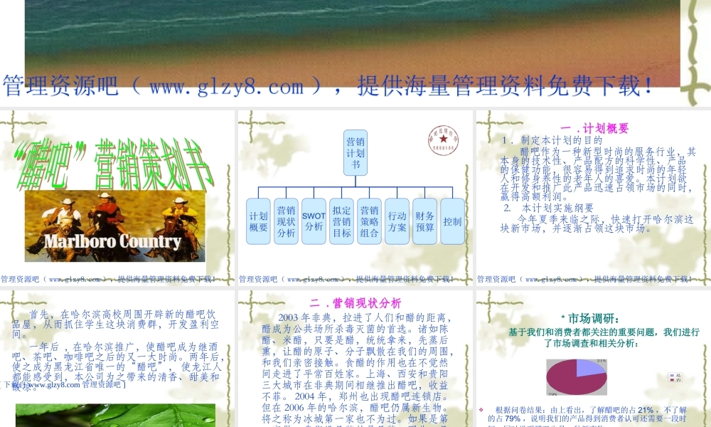 醋吧营销策划书