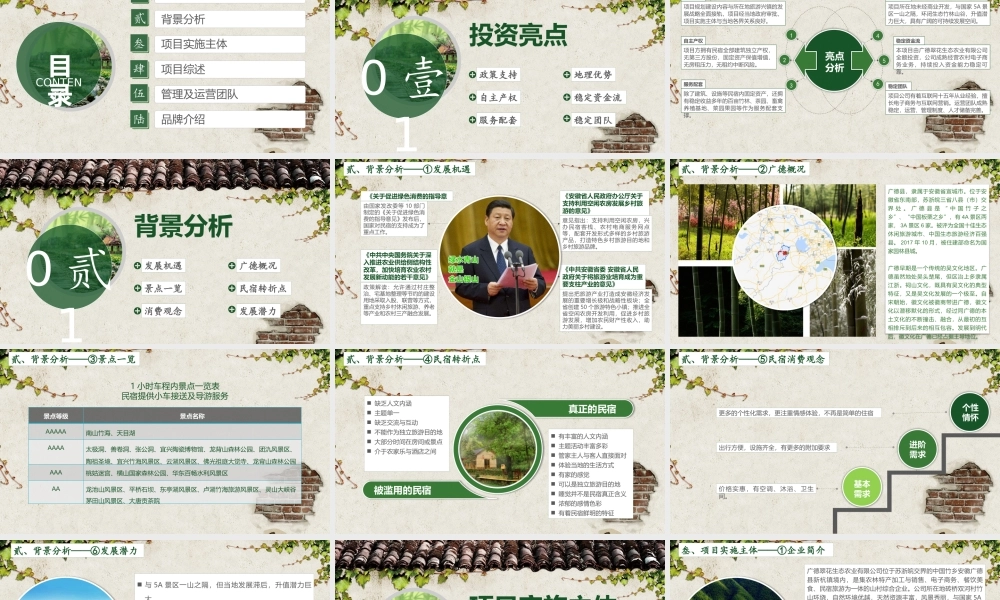 “翠花山庄”民宿项目可行性研究报告暨商业计划书