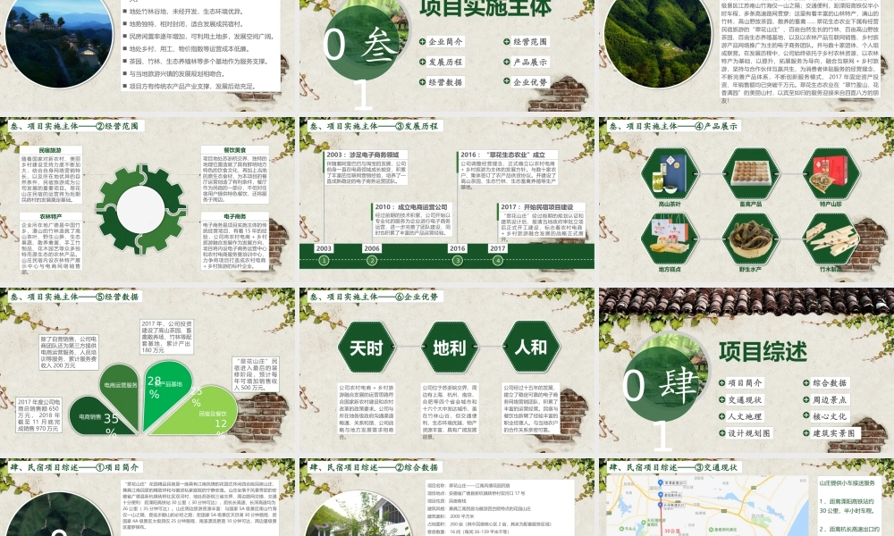 “翠花山庄”民宿项目可行性研究报告暨商业计划书