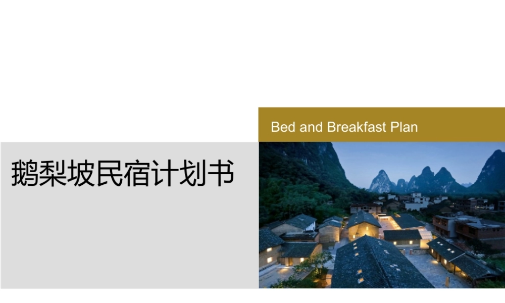 鹅梨民宿计划书