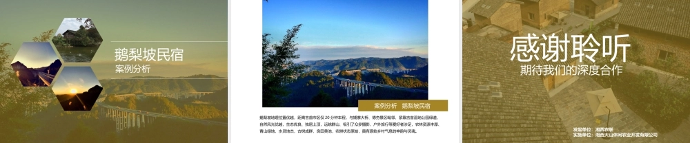 鹅梨民宿计划书